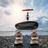 智﻿能​技﻿术﻿与‌工‌程​就﻿业﻿方‍向​